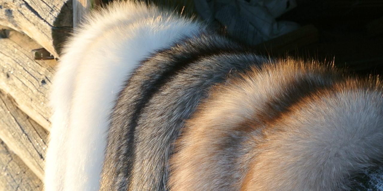 1DE5526C-8E37-4EF7-B9AC-AAF2537FB9D7