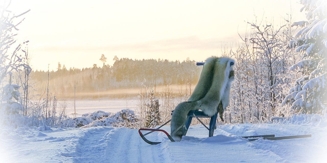 56BA97E3-B18E-4895-A729-2191C424A0B7